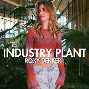 INDUSTRY PLANT